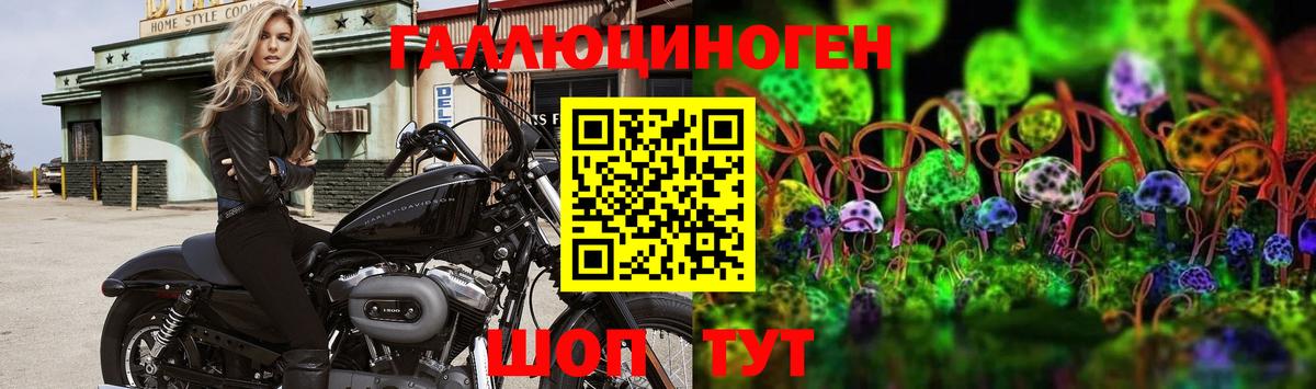 Галлюциногенные грибы MAGIC MUSHROOMS  Псилоцибиновые грибы Psilocybe  Вход с VPN  Норильск 